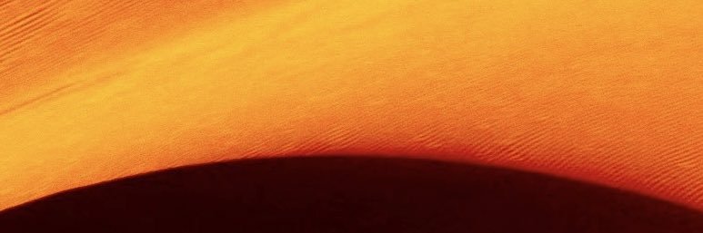 Franz31Ch's profile banner image