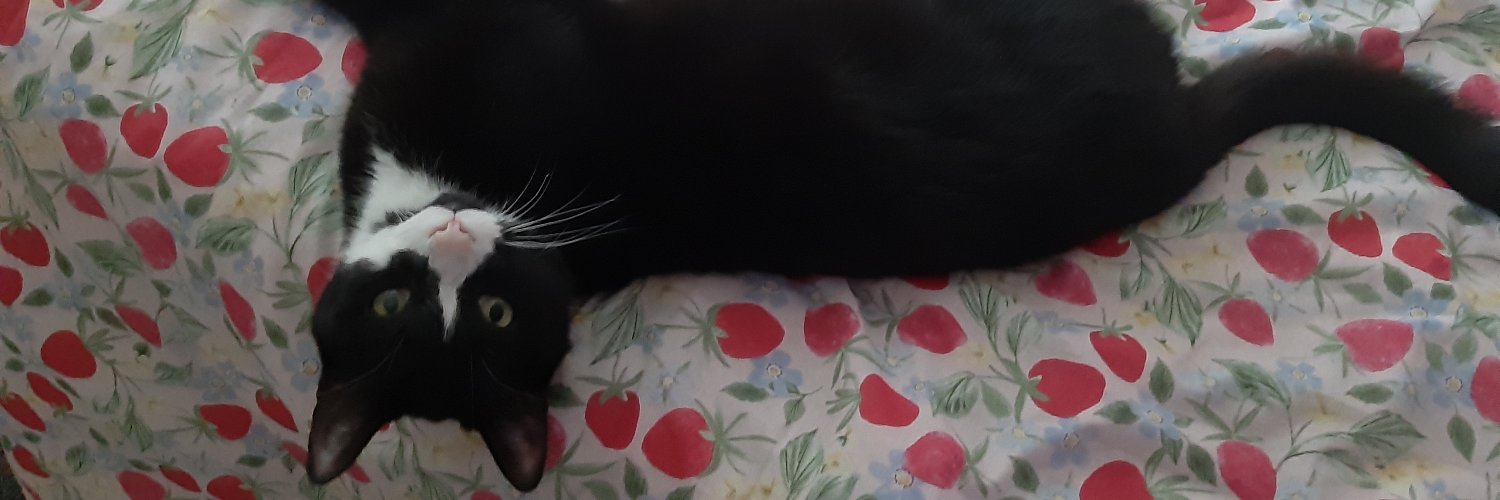 tra4planb's profile banner image