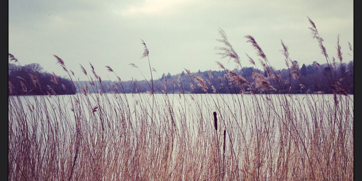 marilo miguez banner