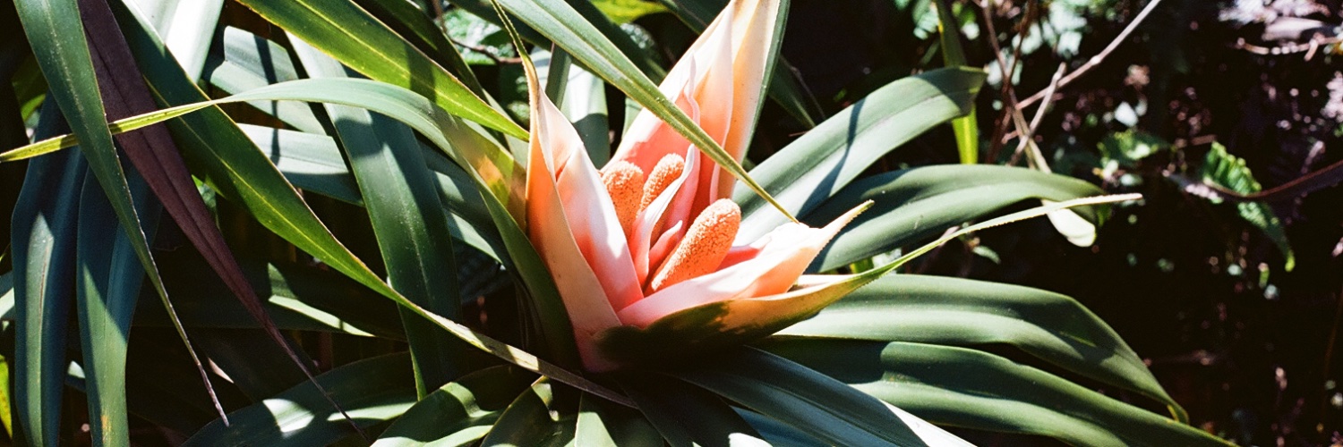 gail_nish's profile banner image