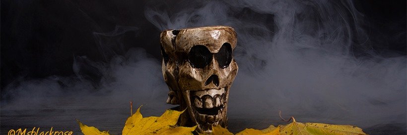 MsblackroseA_G's profile banner image