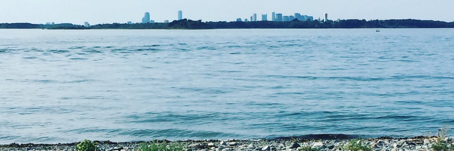 𝘊𝘩𝘳𝘪𝘴 𝘊𝘢𝘳𝘣𝘰𝘯𝘦 banner