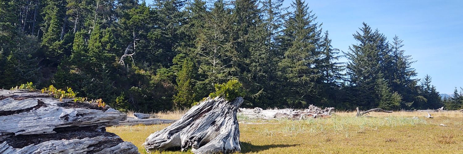 stone_perez's profile banner image