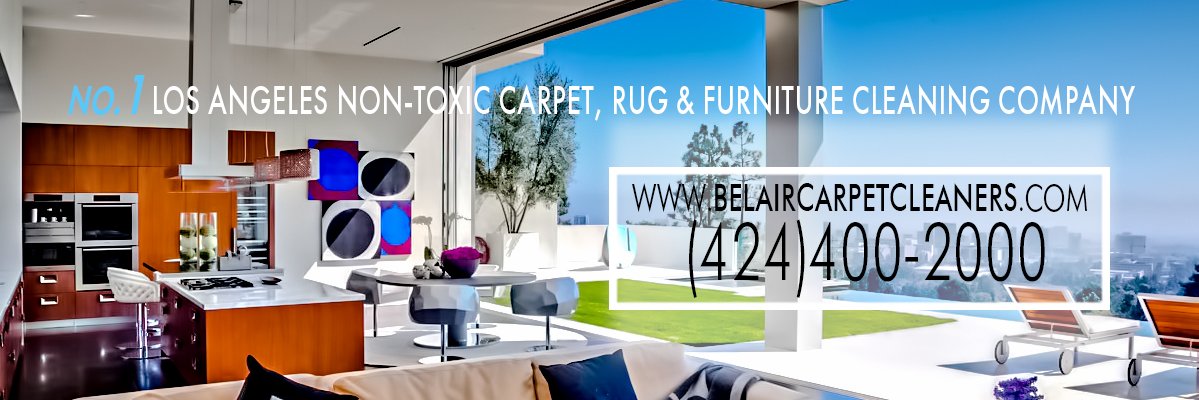 LARugCleaners's profile banner image