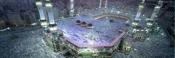 PengS_Official Profile Banner