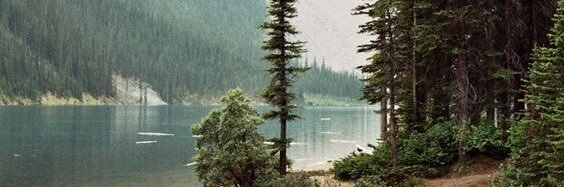 hailey_chantel's profile banner image