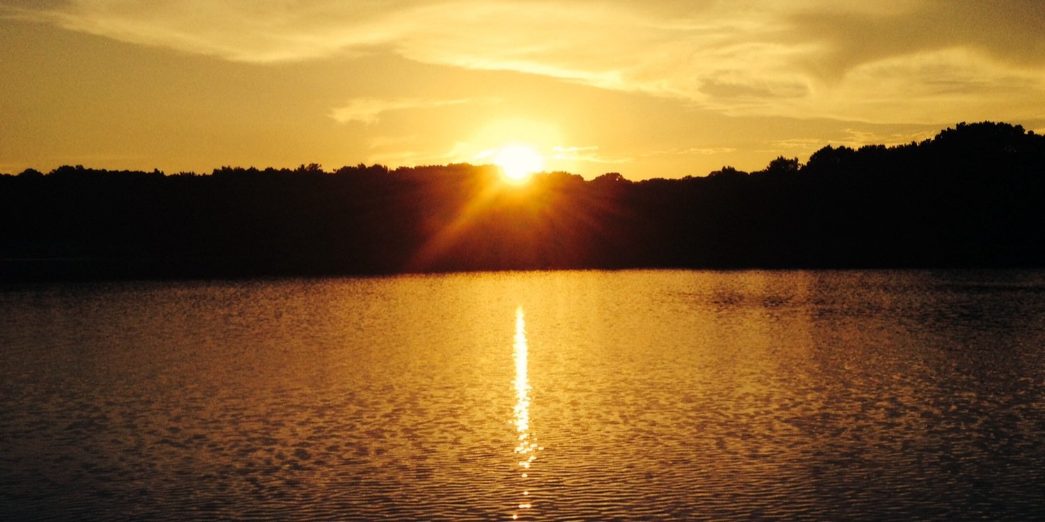 ThatTrevaWoman's profile banner image