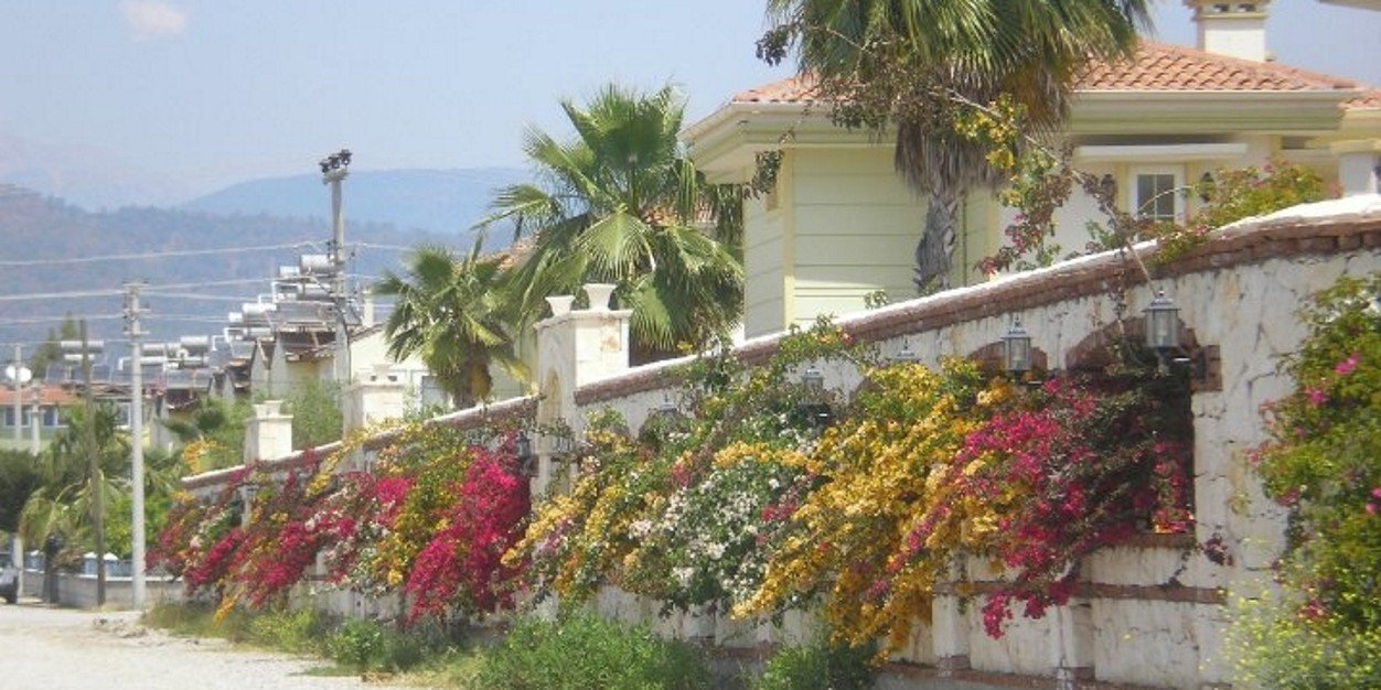 pamhoult1's profile banner image