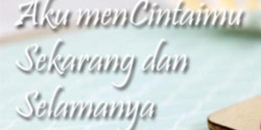 elisaayu02's profile banner image