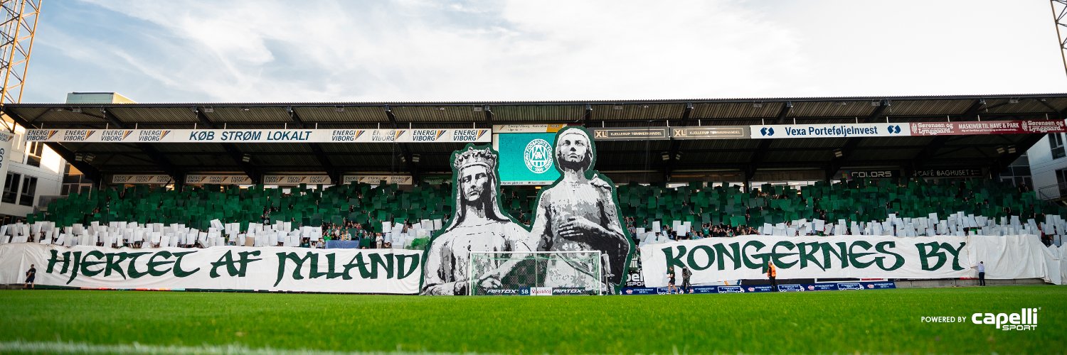 Viborg FF ☘️'s banner