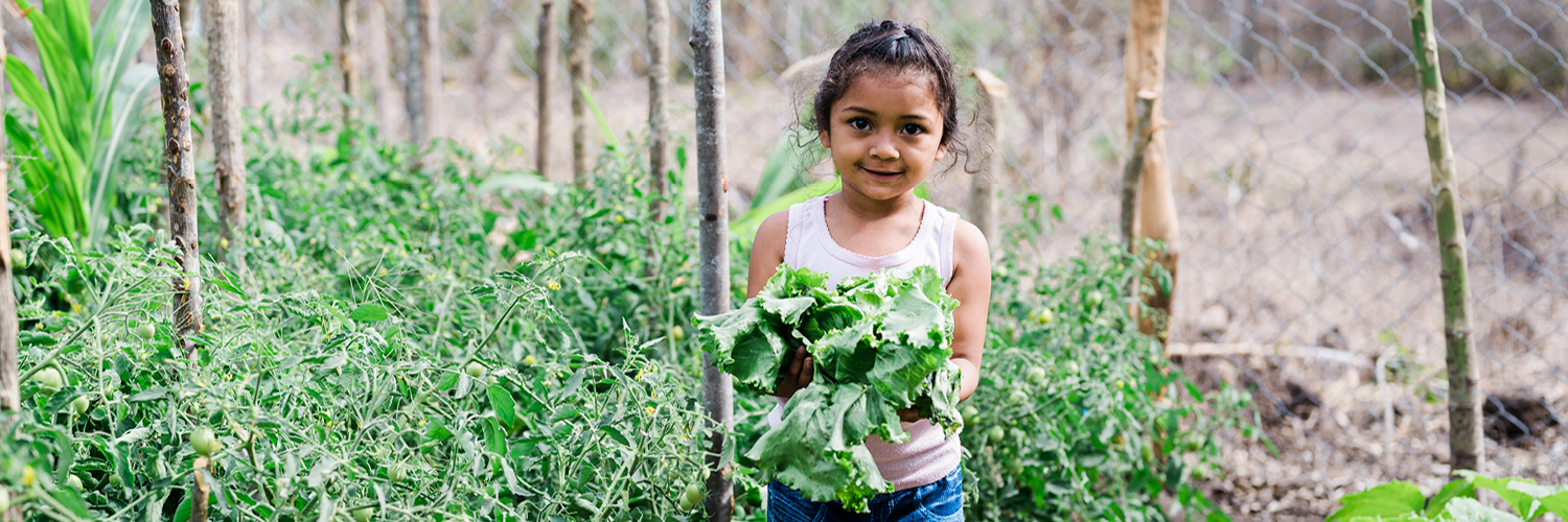 FoodForThePoor's profile banner image