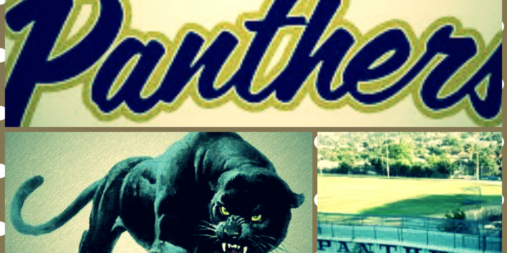 fhs_panthers1's profile banner image