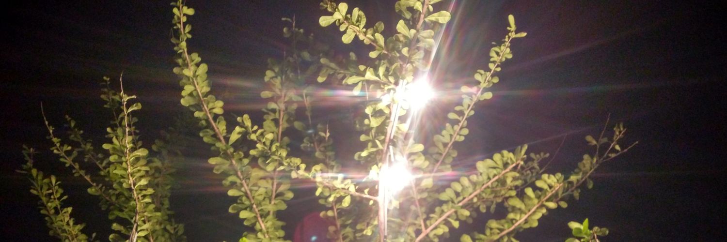 phet331's profile banner image
