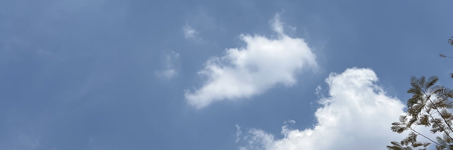 misihrynt's profile banner image