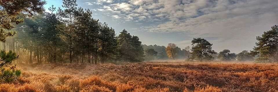 ps_naturepics's profile banner image
