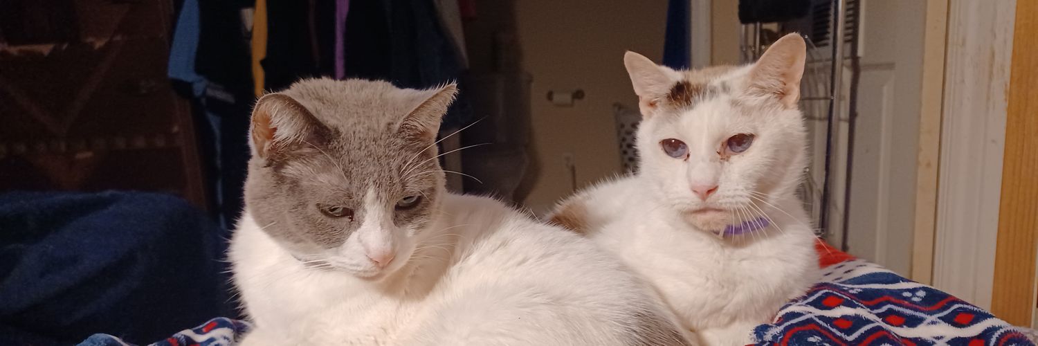 Jason Peevyhouse banner