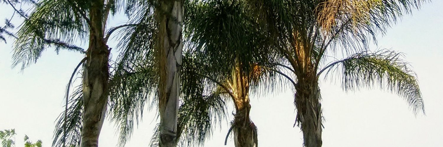 SeanWayneRice's profile banner image
