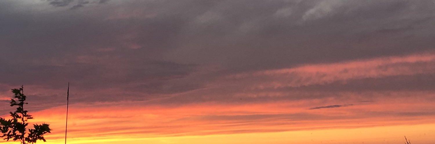 yldrm61_'s profile banner image