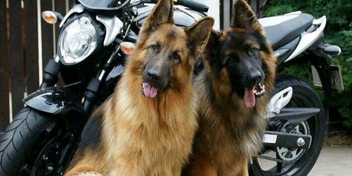 levent197944's profile banner image