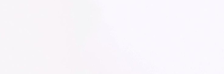 𝑍𝑌. banner