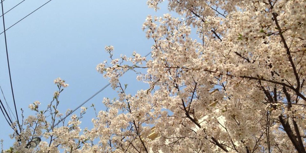 RY_sdsdsd's profile banner image