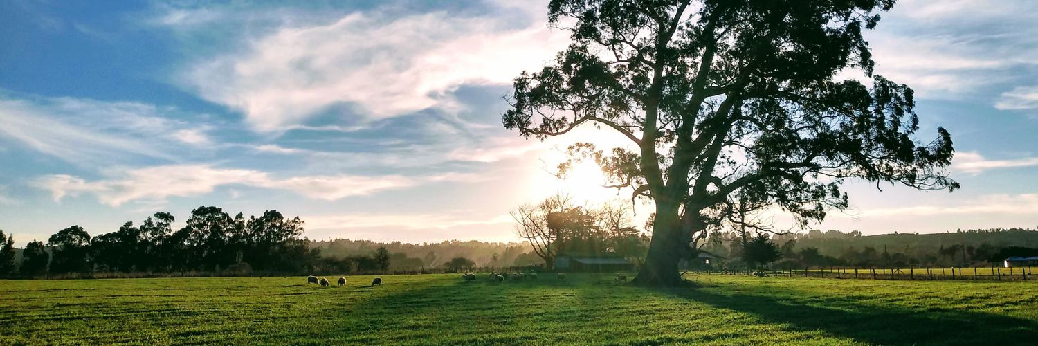 LeslieCabrera_'s profile banner image