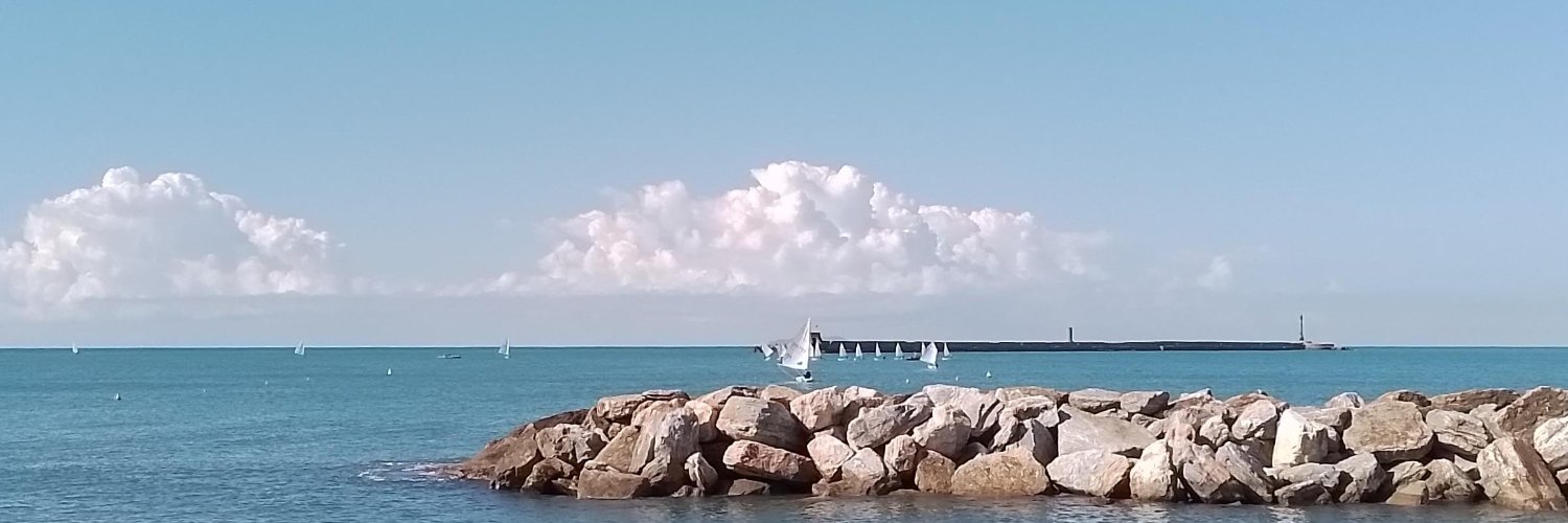 Dzintra Simpson banner