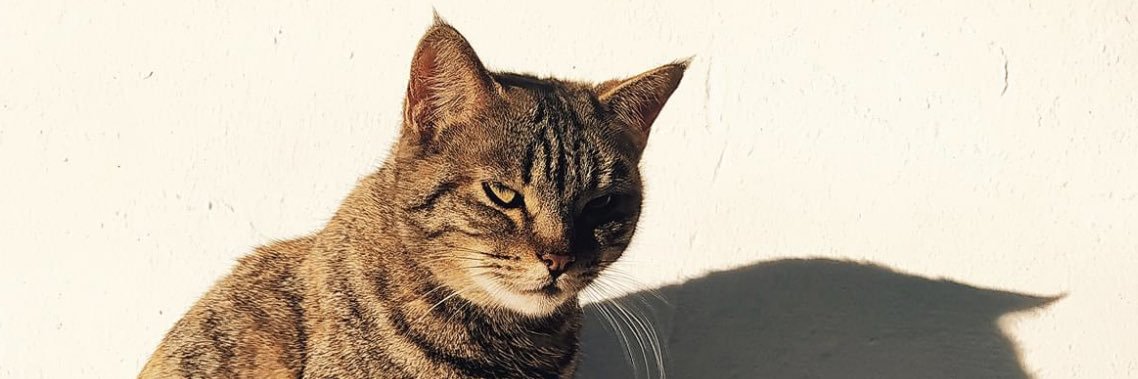 JaimeJje's profile banner image