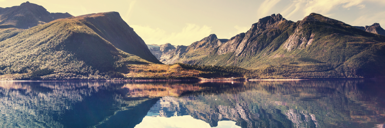 snapprix's profile banner image