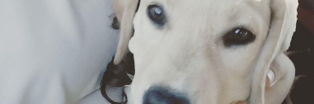 Manoli_Roman28's profile banner image