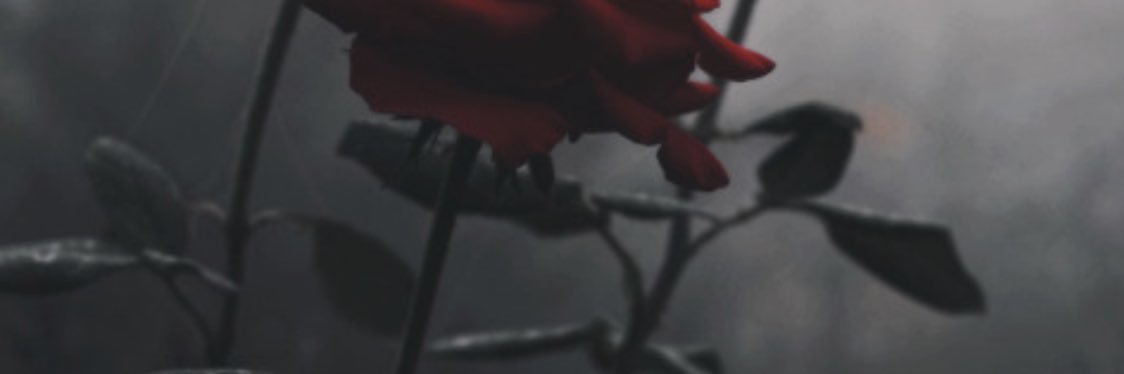 hoodbucks's profile banner image