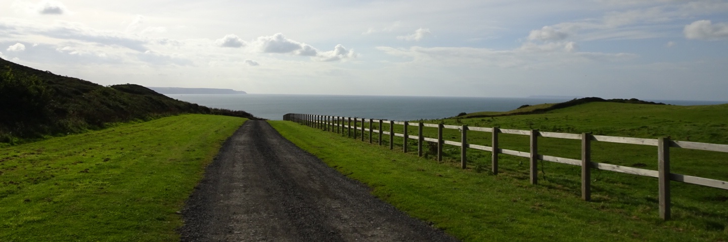 Danielle Bryan banner