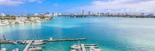 ozzmiami's profile banner image