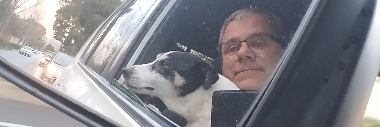 bobsmedog's profile banner image