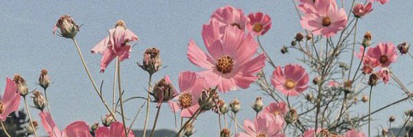 lilpadrone1 Profile Banner