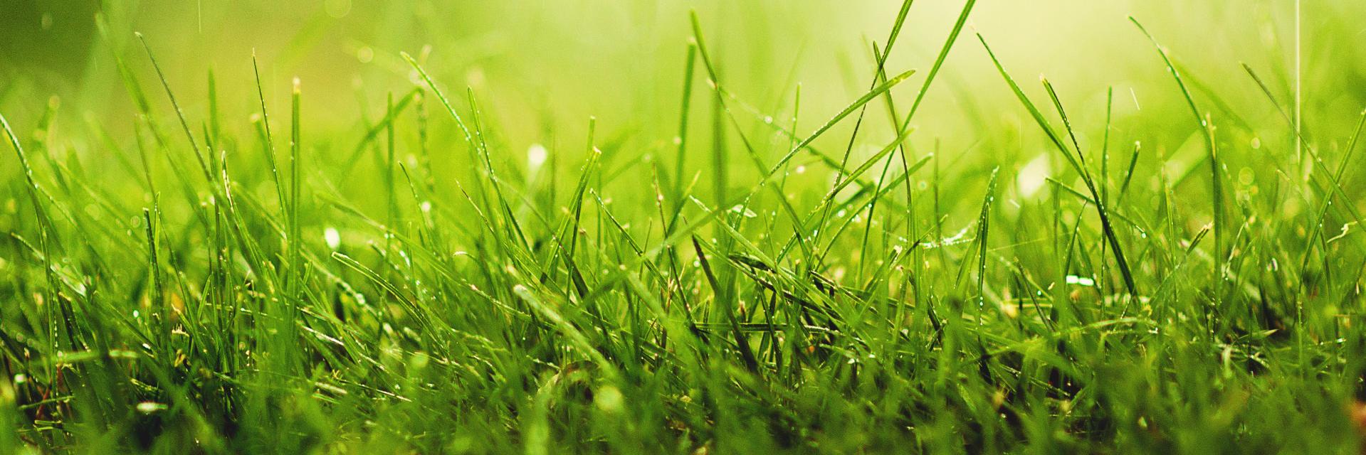 ФК Старт-Инвест banner