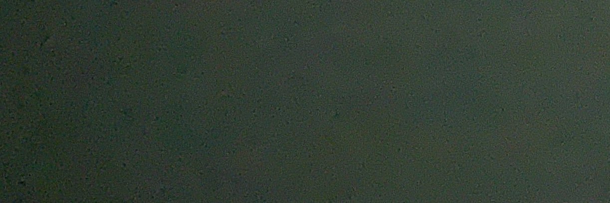 Malori Collins banner