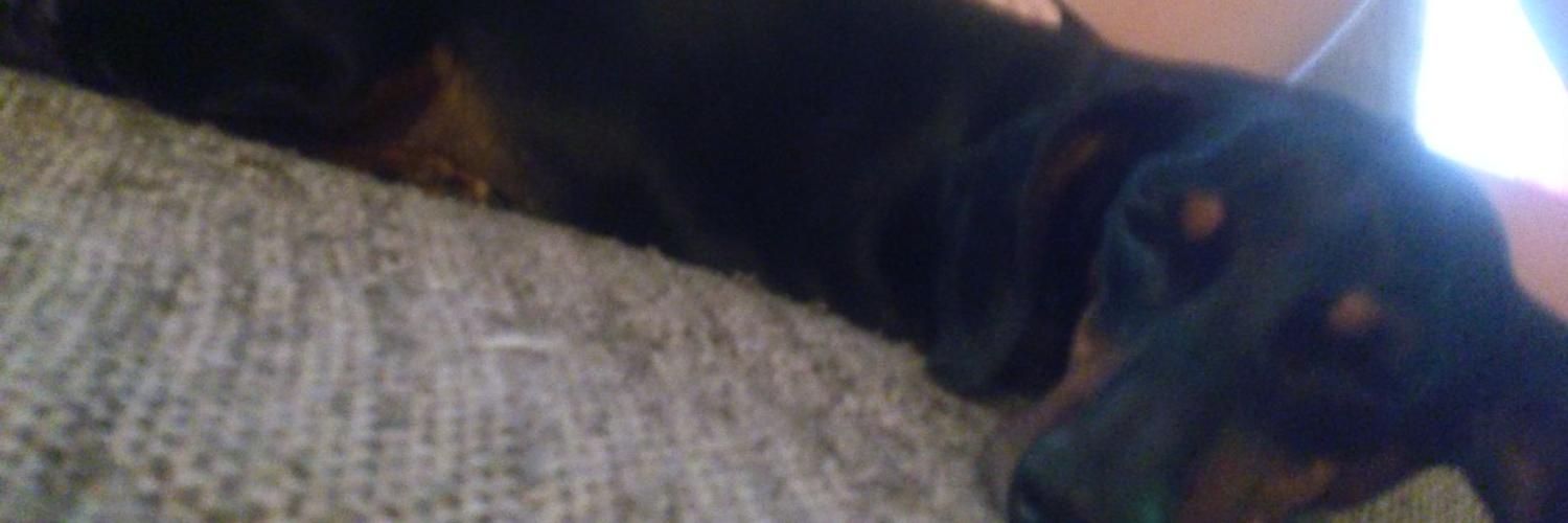 mira_model's profile banner image