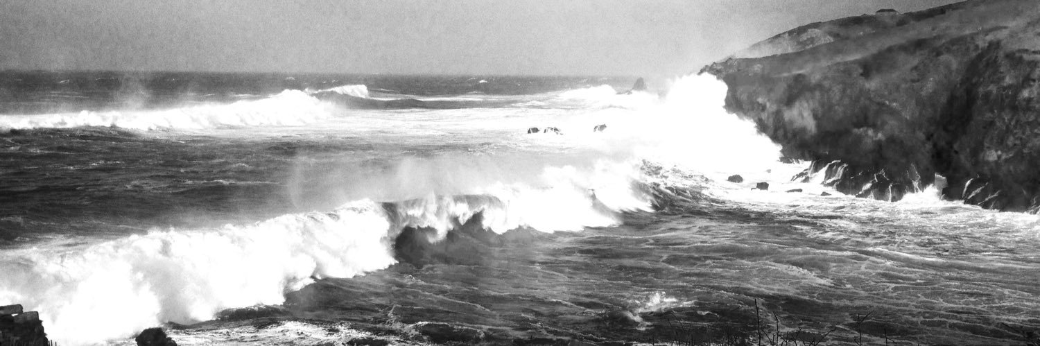 Mark Deeble 〓〓 banner