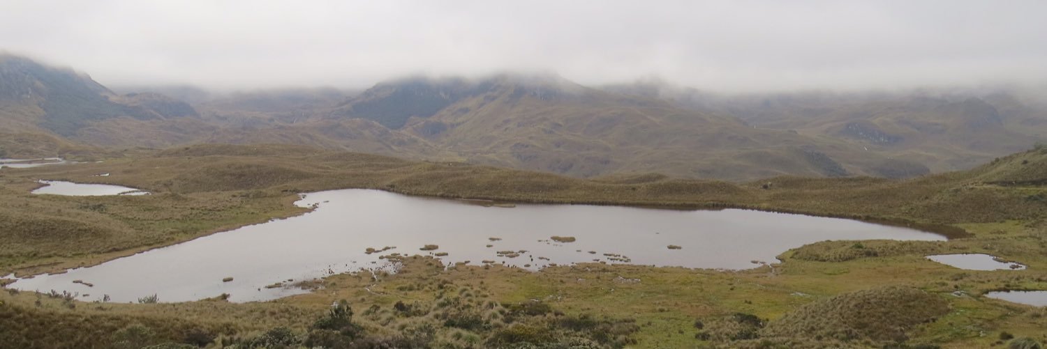 GMotcombe's profile banner image