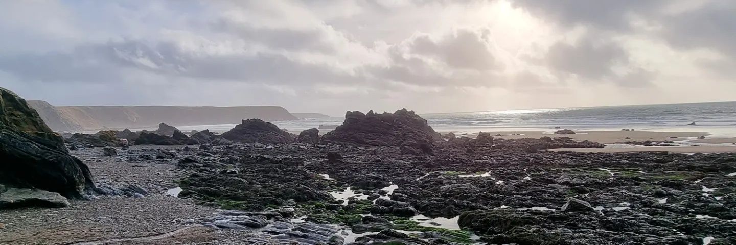 ekoocme's profile banner image