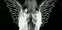 fxtalgy's profile banner image