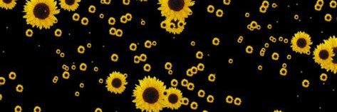 Brizhayy's profile banner image