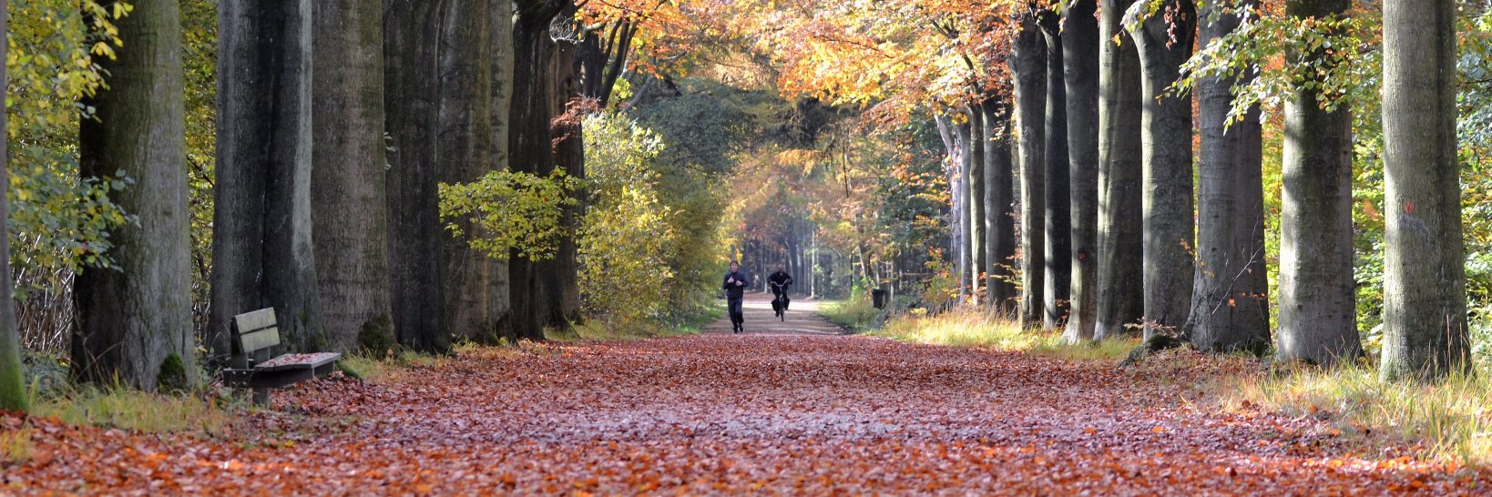 2930Brasschaat's profile banner image