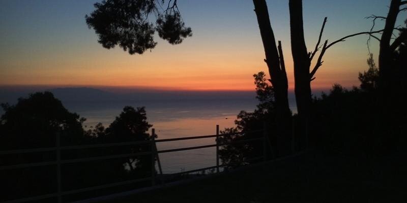 artisu69's profile banner image
