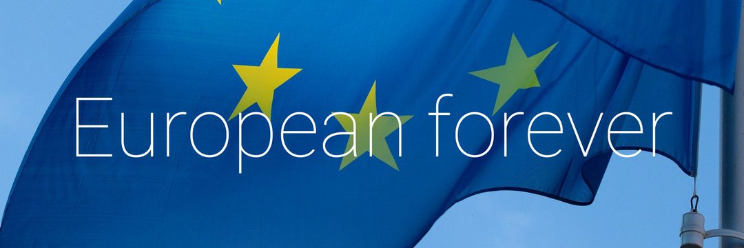 Ian Fountain 🇪🇺 🐟 💙 banner