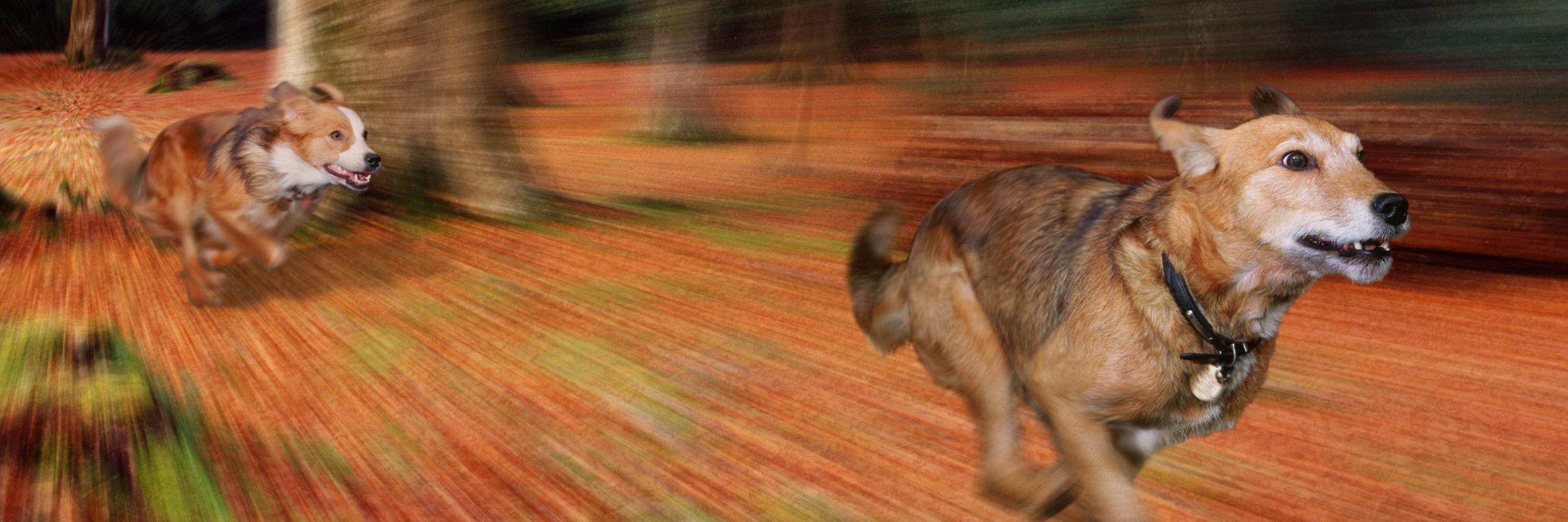 warrenphot's profile banner image