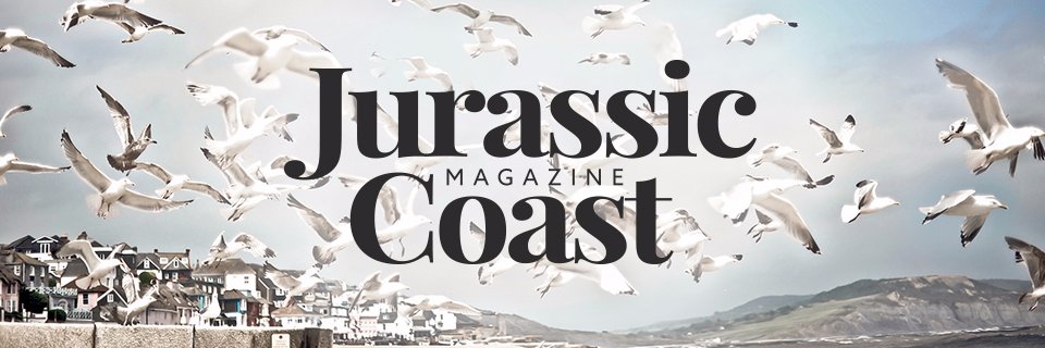 Lyme Magazine banner