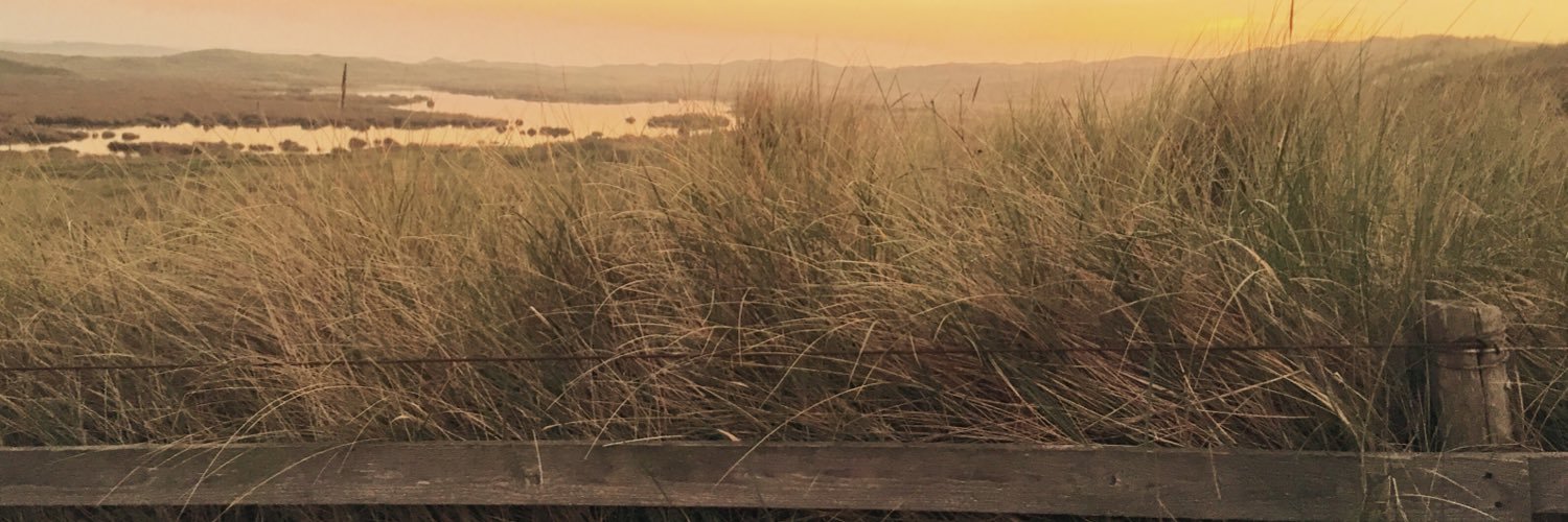 PaulKetting's profile banner image
