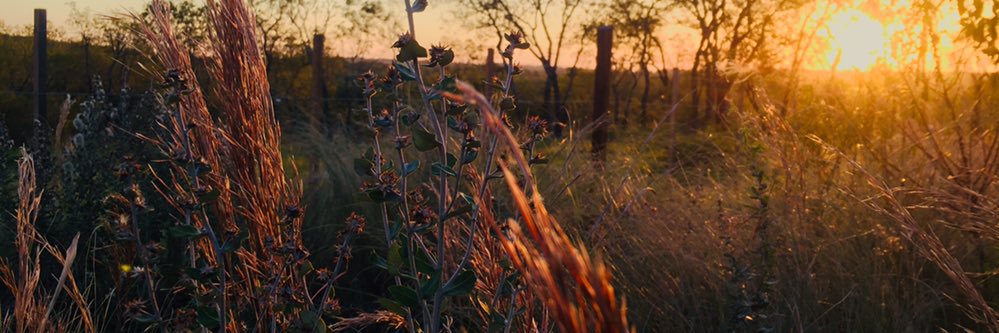 matixba's profile banner image